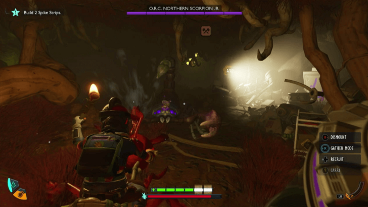 Grounded 2 O.R.C. Northern Scorpion Jr Fight