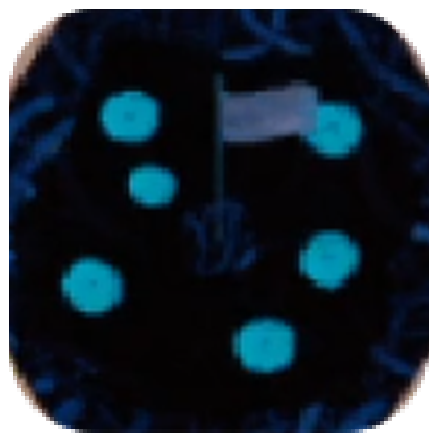 Mage Arena - Mushroom Biome