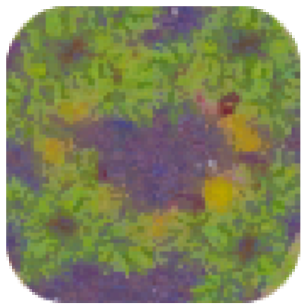 Mage Arena - Gnome Forest