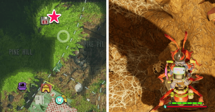 Grounded 2 Spider Den Pine Hill Location