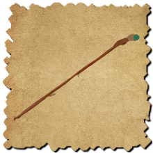 Fungal Walking Stick