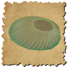 Mage Arena - Bounce Mush