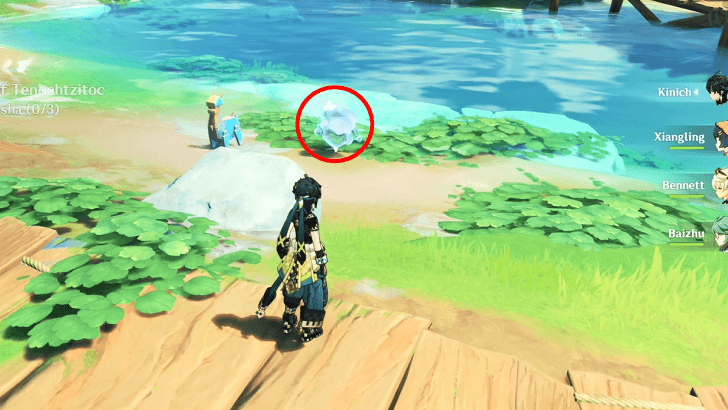 Genshin - Search for Invisible Asha