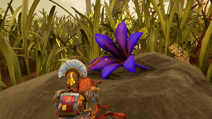 Hosta Plant and Flower Petals