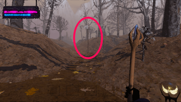 Forest Fields Captured