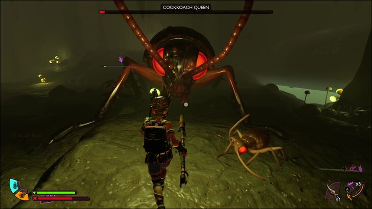 Cockroach Queen Fight