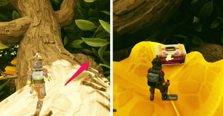 Grounded 2 Bushwacker Chest