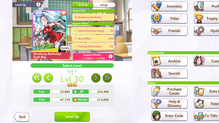 Level Up Support Cards