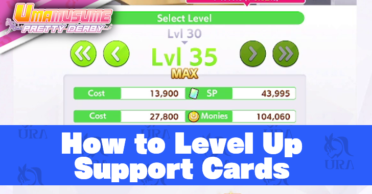 How to Level Up Support Cards in Umamusume
