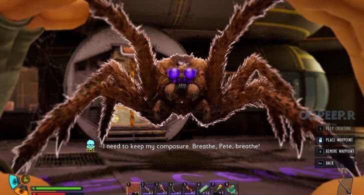Grounded 2 Peep the ORC Wolf Spider