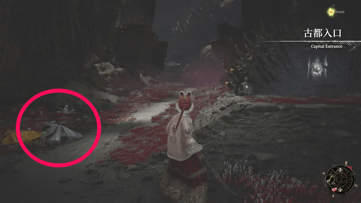 Lu Xia At Capital Entrance