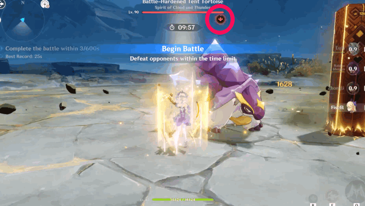 Applying Any Attack Triggers its Electro Shield