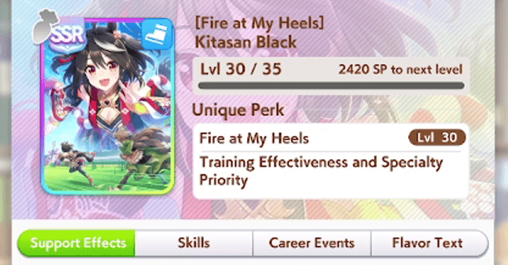 Support Card Info.png