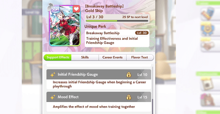 Unlocks Unique Perk and Other Support Effects