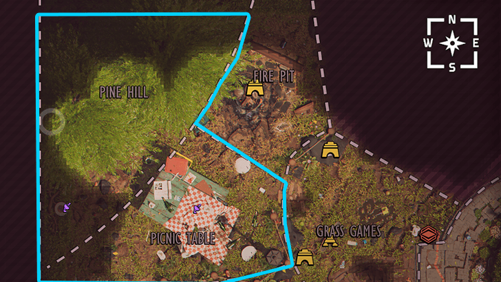 Pine Hill and Picnic Table