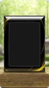 Pokemon TCG Pocket - Garden Frame Backdrop