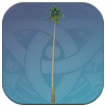 Genshin Impact - Multicolored Coconut Tree Image