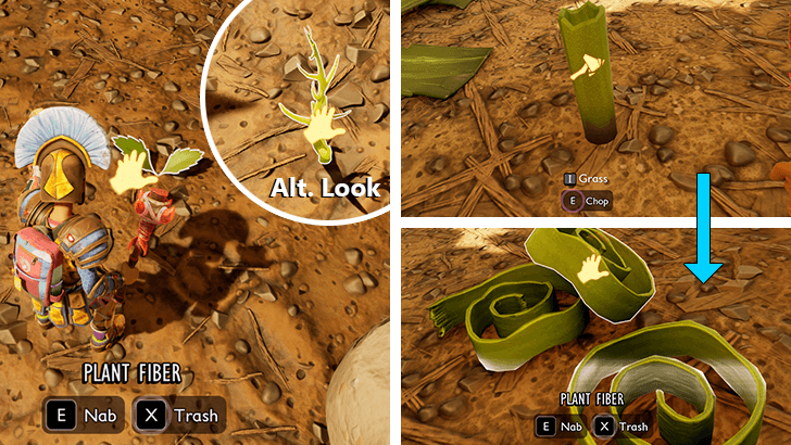 How to Get Plant Fibers