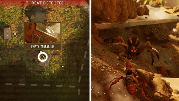 Wolf Spider Location