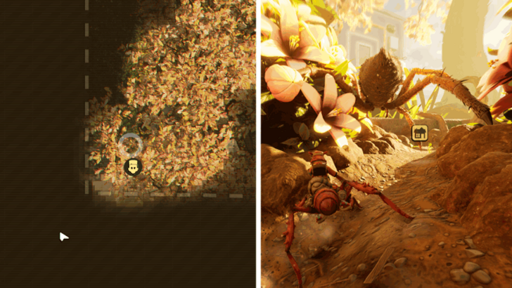 Wolf Spider Location