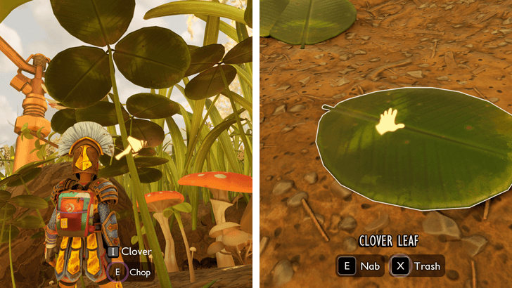 How to Get Clover Leaves