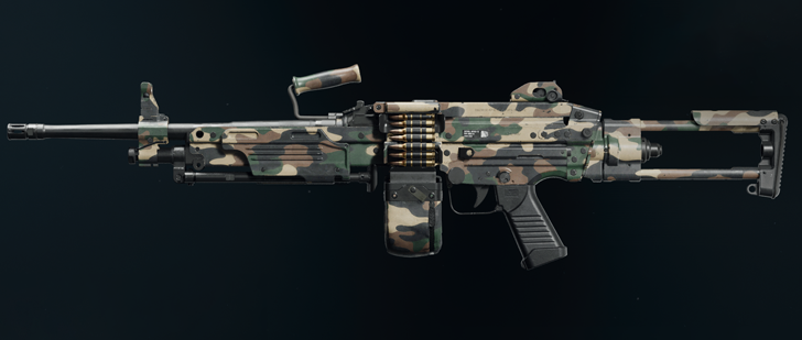 Black Ops 6 - Woodland PML 5.56 Camo