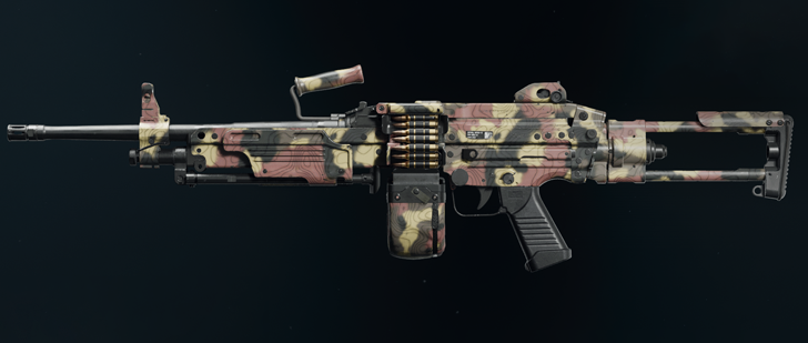 Black Ops 6 - Grim PML 5.56 Camo
