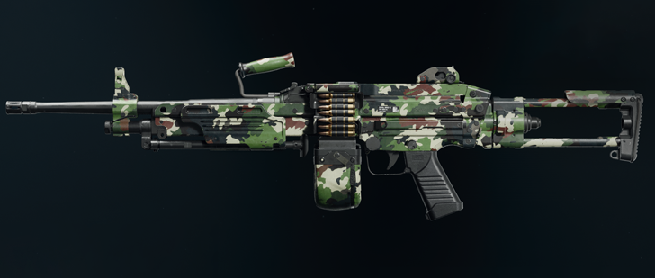 Black Ops 6 - Evergreen PML 5.56 Camo