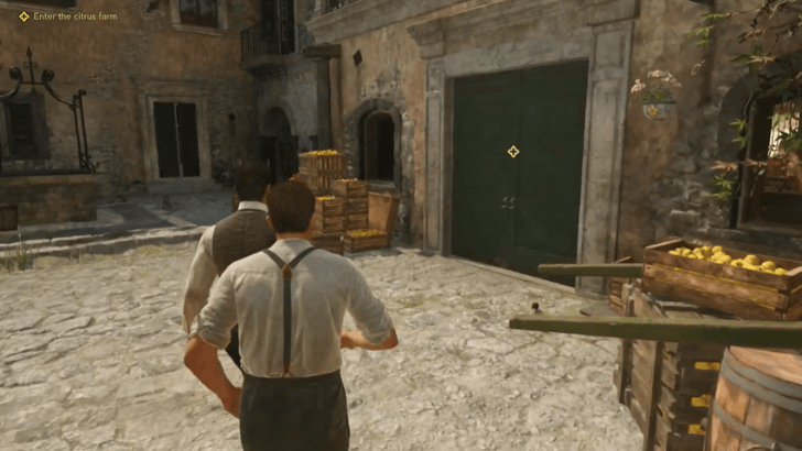 Chapter 3 Citrus Farm