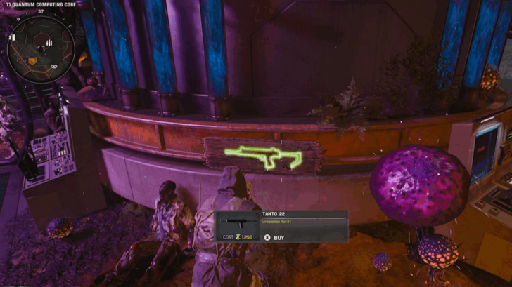 Tanto .22 SMG Wall Buy