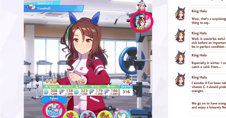 Support Cards May Give Hint Levels