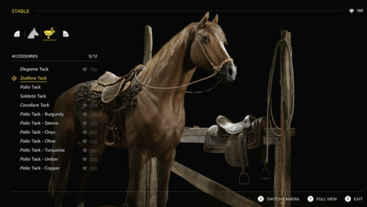 Horse Accessories