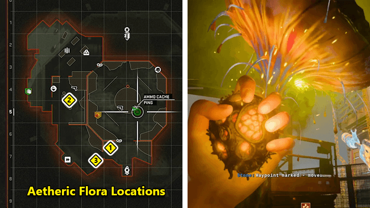 Aetheric Flora to Charge Cyst