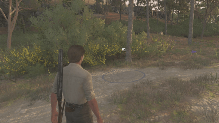 Changing Industries of Sicily The photo spot is located south of the pile of logs on the unmarked area northwest of San Celeste. Overworld Location