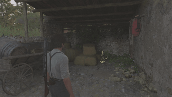 Mystery Fox 5 Beside the haystack on the house at Fontanella Overworld Location