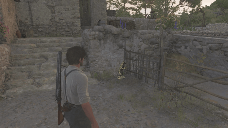 Mystery Fox 6 Beside the fence on the small house north of San Celeste. Overworld Location