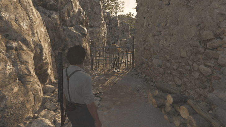 Mystery Fox 7 Behind the small house northwest of San Celeste. Overworld Location