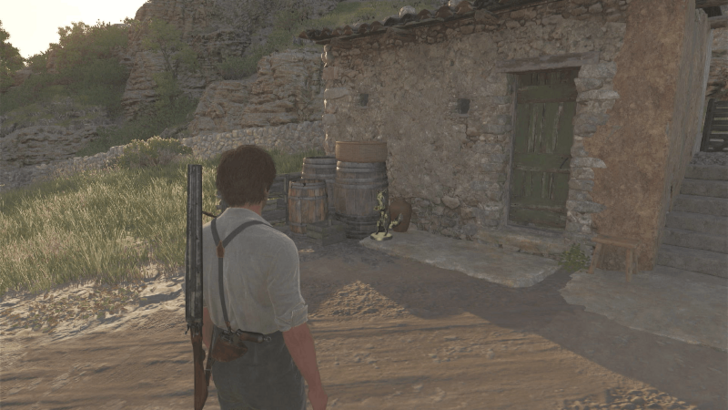 Mystery Fox 9 In front of the small building southeast of San Celeste. Overworld Location