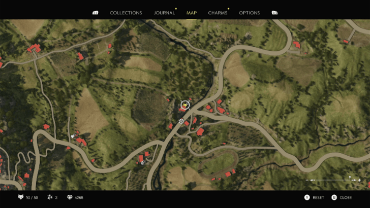 Mystery Fox 11 On the top of the stairs at the house east of San Celeste. Map Location