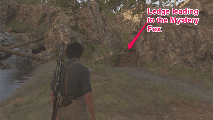 Mystery Fox 17 Located at the isolated pathway northwest of San Celeste. Find the brown ledge that you can vault over at the right side of the river. Follow the linear path by continuing to vault over the ledges until you reach the top that contains the Mystery Fox. Overworld Location