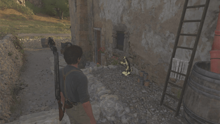 Mystery Fox 22 Behind the small house north of Pasquale