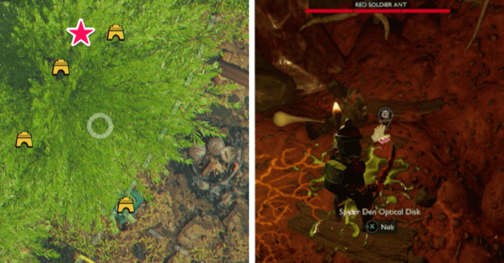 Grounded 2 Spider Den Optical Disk Location