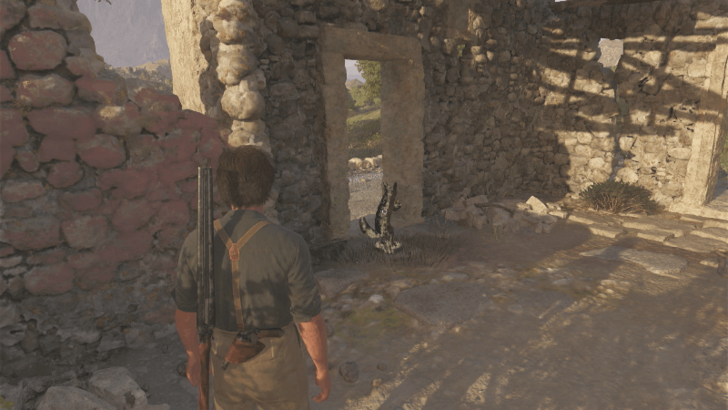 Mystery Fox 31 Inside the destroyed house at the side of the road west of Giambaressi Quarry. Overworld Location