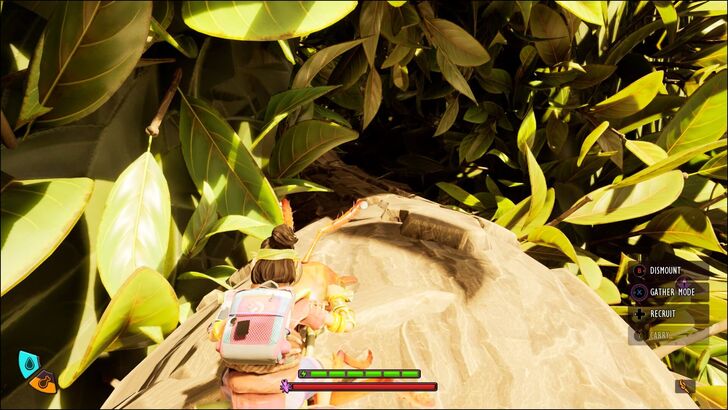 Trunk Looping Inside