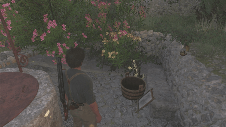 Mystery Fox 34 Beside the wooden basket near the well on the bungalow with the wooden gate west of Torrisi. Head to the left side of the bungalow to enter the garden that contains the Mystery Fox. Overworld Location