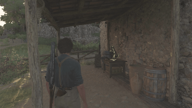 Mystery Fox 37 On the wooden bench at the isolated house south of San Celeste and east of Chapel of Saint Agatha. Overworld Location