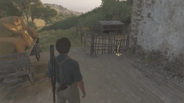 Mystery Fox 38 Beside the wooden fence on the red isolated house east of San Celeste. Overworld Location