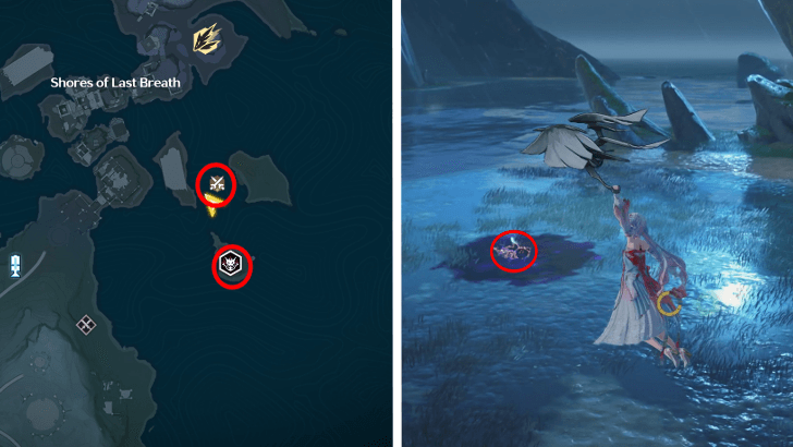 Go North of Tacet Field Fagaceae Peninsula