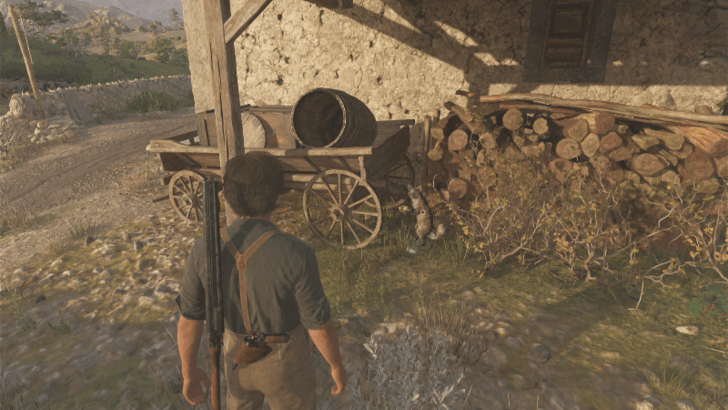 Mystery Fox 40 In between the wheelbarrow and tall grass on the house at the isolated pathway east of San Celeste. Overworld Location