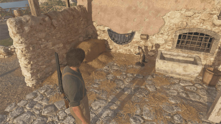 Mystery Fox 43 Beside the pile of hay at the tall house north of Villa Torrisi. Overworld Location